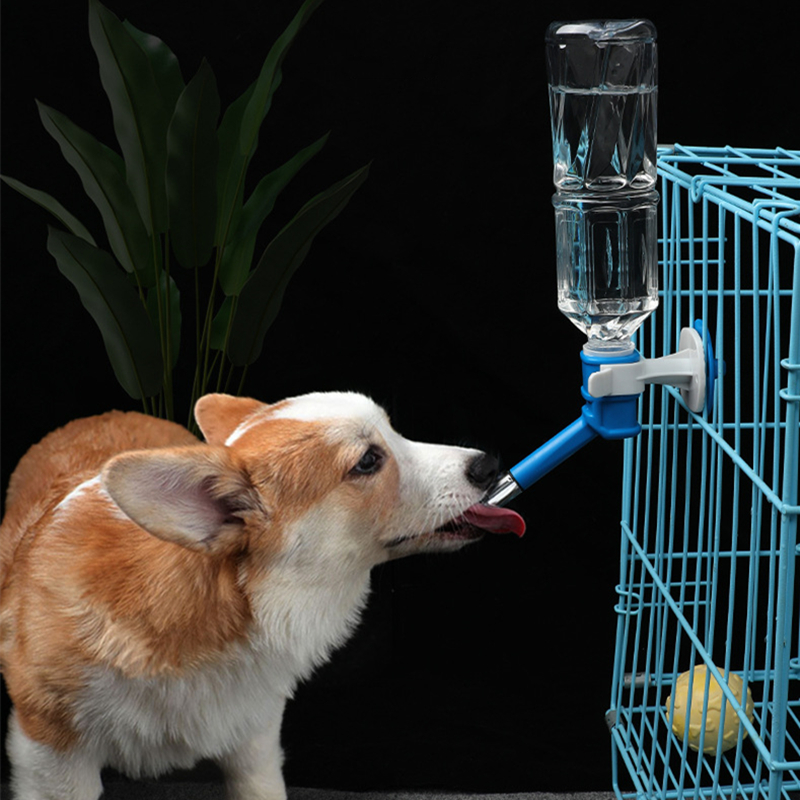Pet Dog Cat Water Dispenser No - Baby Food Cat ulasan dan harga